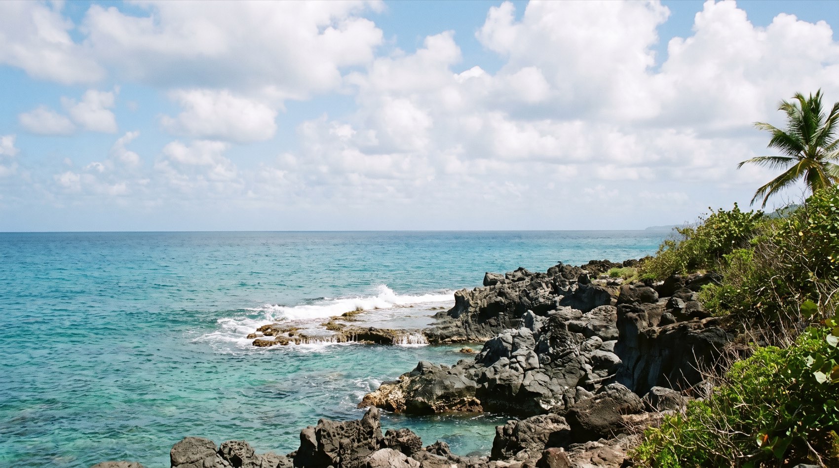 Black volcanic ironshore rock meeting clear turquoise water on a U.S. Virgin Islands coastline.